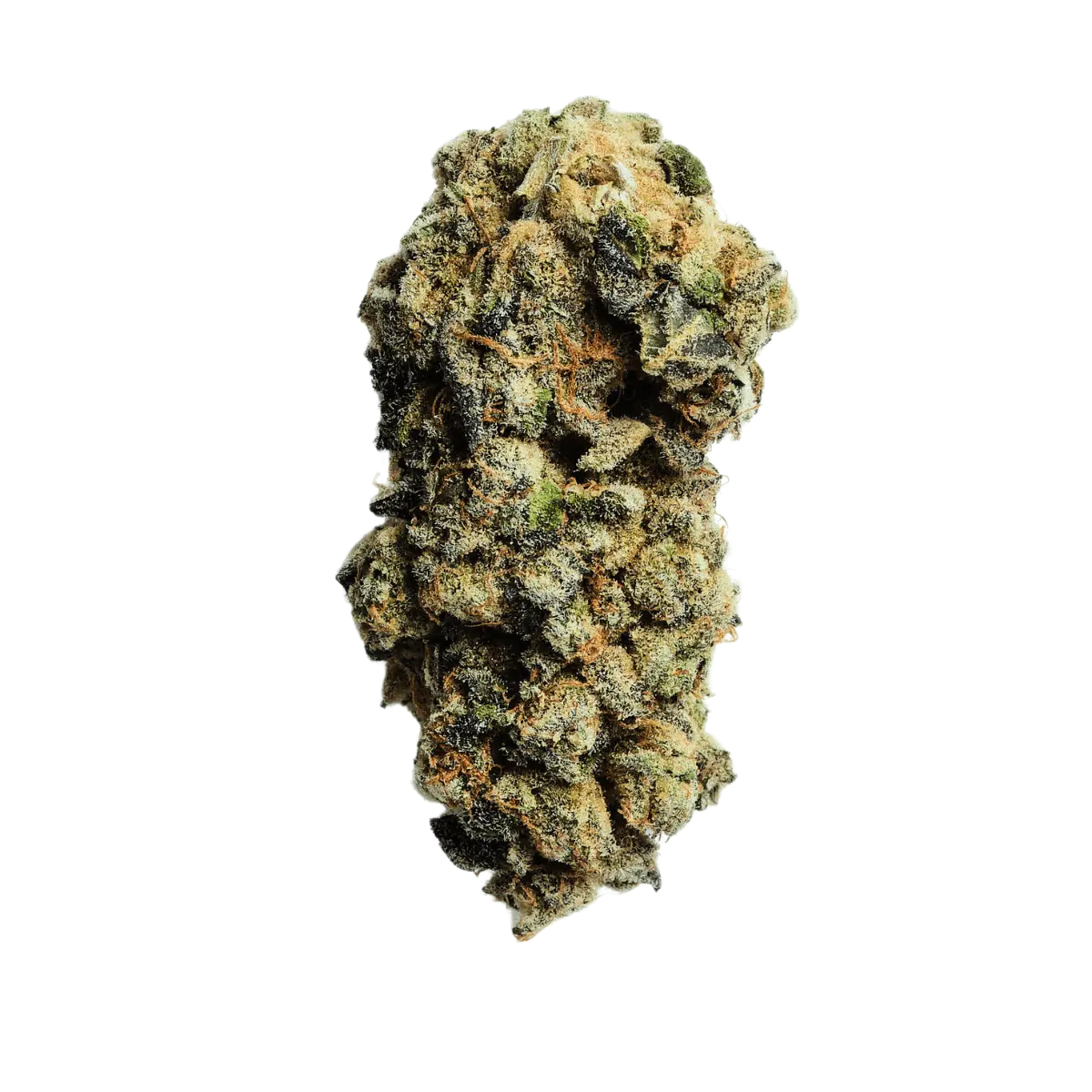 Remexian 21/1 ISL Animal Face